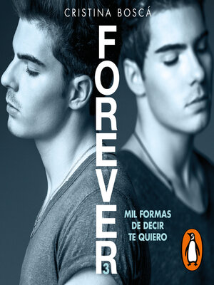 cover image of Mil formas de decir te quiero (Forever 3)